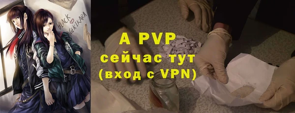 прущие крисы Гусев