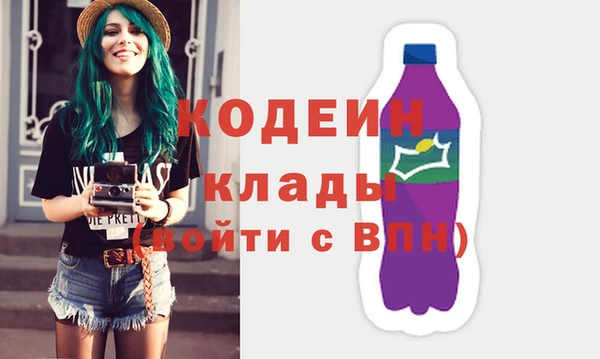 шишки Гусь-Хрустальный