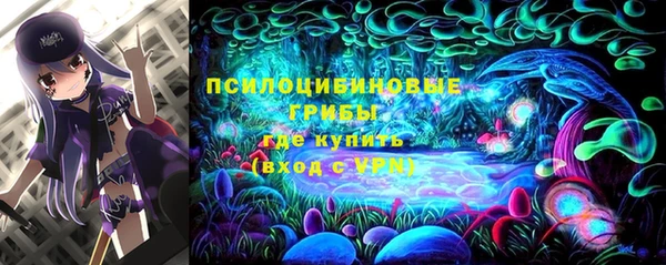 хмурый Горнозаводск