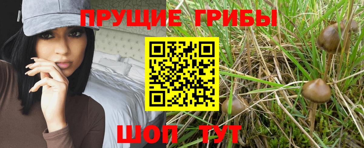 Псилоцибиновые грибы GOLDEN TEACHER  Вход с VPN  Еманжелинск 